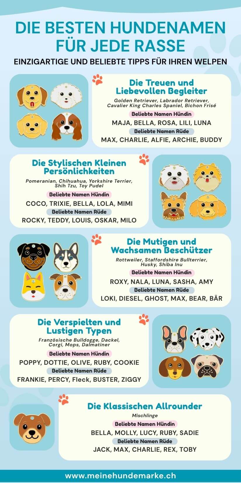 beliebte Hundenamen nach Rasse, ideal für personalisierte Hundemarke und Hundemarke Gravur.